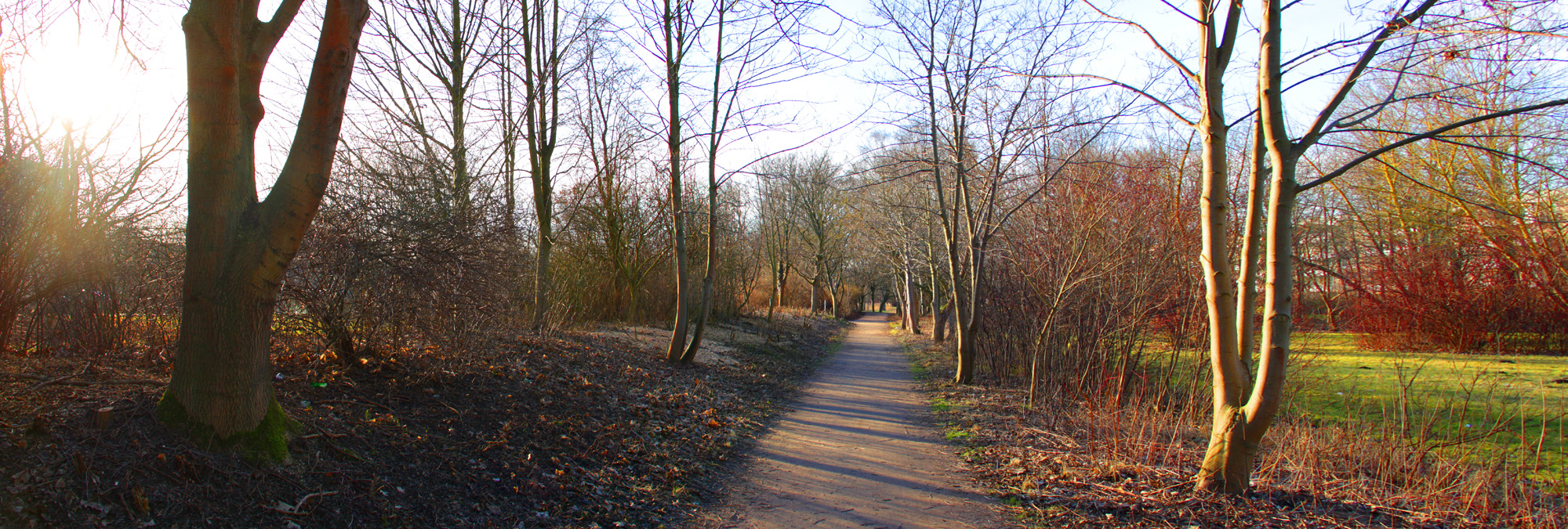 Rostock Südstadt Kringelgrabenpark